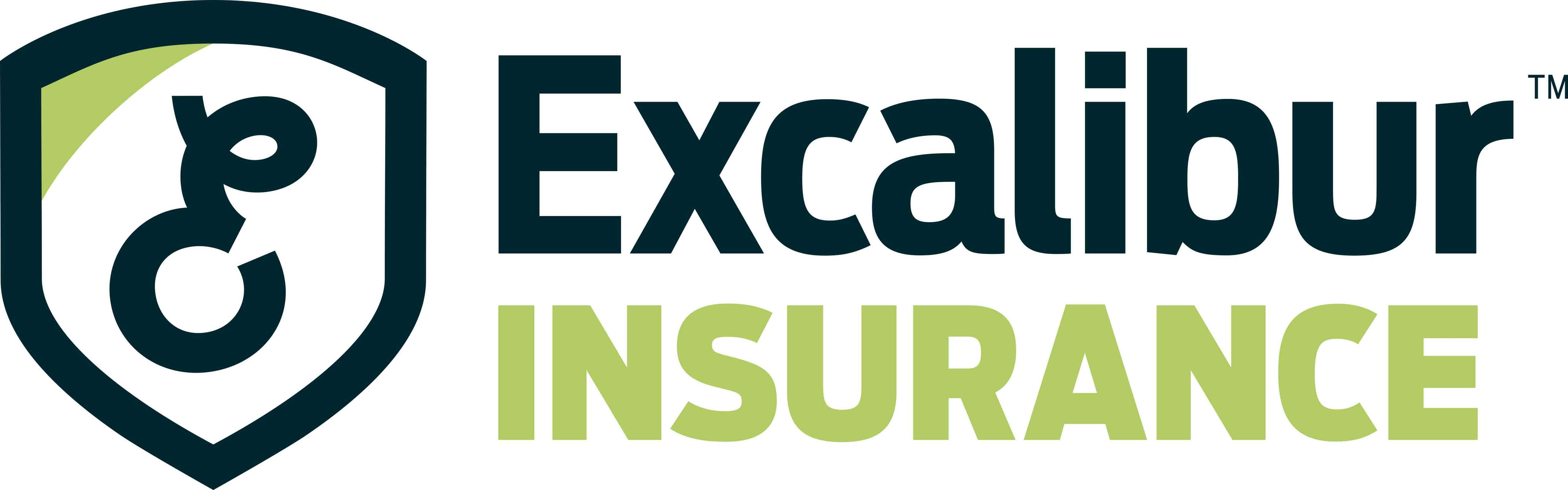 Excalibur Insurance Group