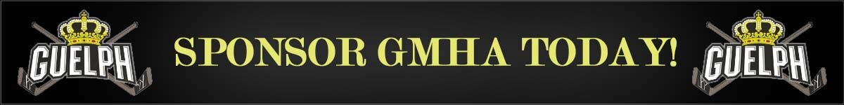 Sponsorship banner