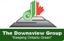 The Downsview Group